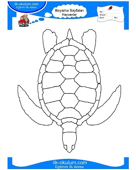 Çocuklar İçin Kaplumbağa Boyama Sayfaları 